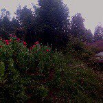 Santos barrera - @barrera.santos - Instagram