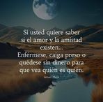 Loza Alvarado Santos - Facebook