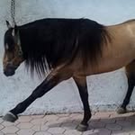 Santos Olivarez - @santos_olivarez - Instagram
