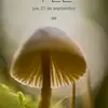 Santos Rodas - @santos.rodas7 - TikTok