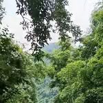 Santos Serrano - @santosserrano136 - Instagram