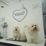 Santos Suárez - @santossuarez123 - Instagram