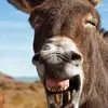 Santos Suarez - @ssuarez69 - TikTok