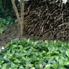 Santos Tejada - @santos.tejada83 - TikTok