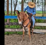 José André Dos Santos Tenorio - Facebook