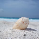 Santos Tenorio - @santos.tenorio.58 - Instagram