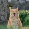 santosugalde458 - @santosugalde458 - TikTok