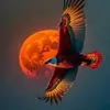 Santos H CH - @santoshch365 - TikTok
