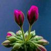 Santosh Rahane - @user56170957 - TikTok