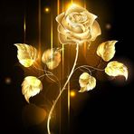 Santoshi Mishra - Facebook
