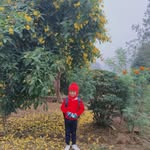 Santoshi Mishra - @santoshi.mishra.752 - Instagram