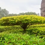@sanya_mannat4 - Instagram