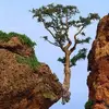 Sao lam - @user9944600960947 - TikTok