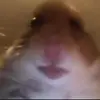 user6110307021682 - @saoudalthani291 - TikTok