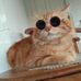 Abraham Saphien - Facebook