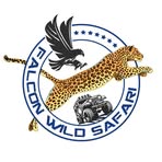 Falcon Wild Safari - Facebook