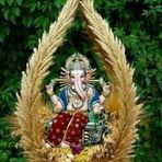 Sapna Doshi - Facebook
