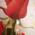 Sapna Mistry - @sapna.mistry.311 - Instagram