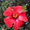 Sapphire_Morrison  - @user3575870743923 - TikTok