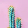Sapphire/Ray - @ur_.mom_is_in_my_bed - TikTok
