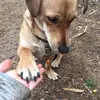 Sapphire Smith - @.sapphire_smith - TikTok