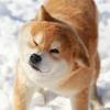 Michael Sweeney342 - @sapphirewang - TikTok