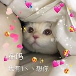 @sapphire_wang13 - Instagram