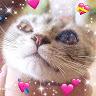 Sapphire Wang - @sapphirewang0 - TikTok