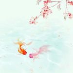 sapphire_wang - @sapphire_w_prince - Instagram