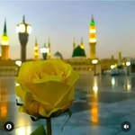 saqib rasool - @_saqib_rasool_ - Instagram