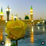 Saqib Rasool - @saqib_rasool__ - Instagram