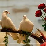 سارة - @sara_abdalazaz - Instagram
