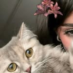 Sara Abe Dan - @sara.abo_dan - Instagram