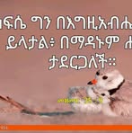 Sara Abebe - Facebook