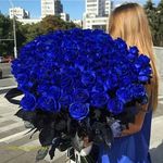 ⓢⓐⓡⓐ - @sara.abrishami.78 - Instagram