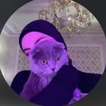 القدس💚💚 - @sara_abutair20 - Instagram