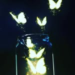 sara addison cooke - @cookie_monsteris_back - Instagram