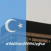 Sara Adel - @saraadel076 - TikTok