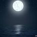 Sara Adel - Facebook