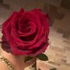 Saraadra - @user26542221 - TikTok