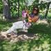Sara Agostinho - Facebook