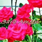 Sara Ameen - @saraameen897 - Instagram