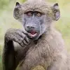Saraamir - @sozi96213 - TikTok