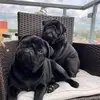 Sara Andre - @sara.andre23 - TikTok