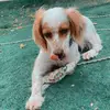 sara.andre16 - @sara.andre - TikTok