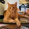 Sarah.Andre - @sarah.andre1 - TikTok