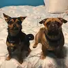 Sara Andrews - @sara.andrews05 - TikTok