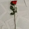 Sara Anwar - @sara_anwar1 - TikTok
