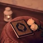 Sara Anwar - @sara.anwar.56679 - Instagram