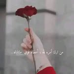 sara.anwar - @sara_anwar26 - Instagram